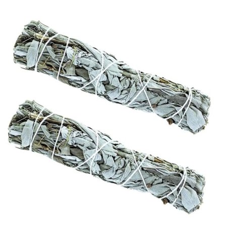 2 palmikkoa Kalifornian valkosalviaa polttamaan 13 cm