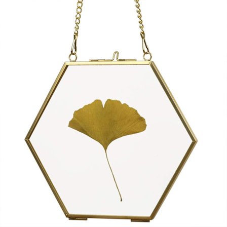 Vægmonteret glasramme til pressede blomster - Glasramme til fotos, kort, plakater, certifikater