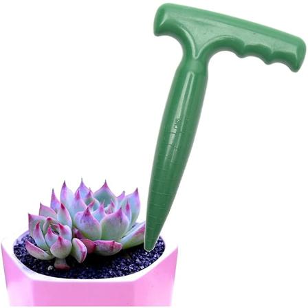 Pæreformet plantefrøplanteplanter, transplanteringshavegreb