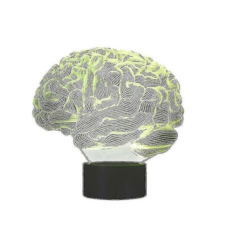 3D Ihmisaivot - Pikkuaivot Malli Pöytävalaisin 7 Väriä Vaihtava Led Yövalo Lahja