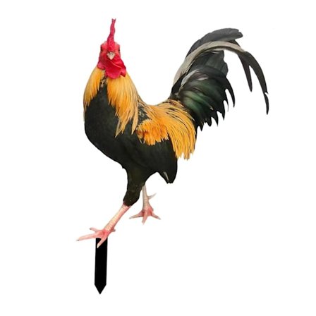 Kana Puutarha Patsas Seiväs Kana Nurmikon Koriste Kukko Piha Taide Veistos Tyyli A(Keskikokoinen,Tyyli A)