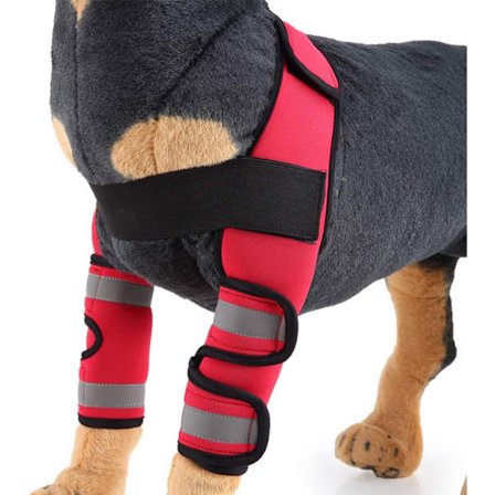 Hunde forbens skinne, bærbar kompressionsbandage kæledyrs knæstøtte