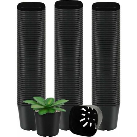 50 muovisia neliönmuotoisia ruukkua, 6,5 cm - kasvatusruukut