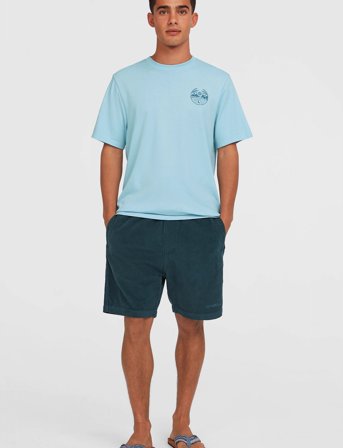 O'neill O'neill Cord Shorts - Navy - M