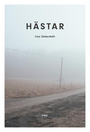 Hästar - Bok av Lisa Zetterdahl - Danskt band