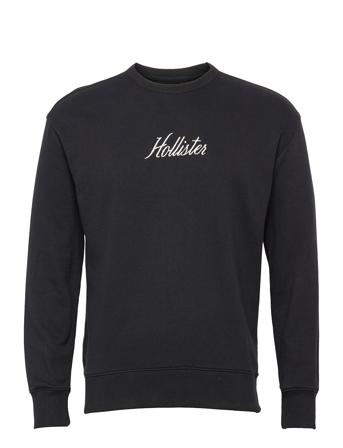 Hco. Guys Sweatshirts Black Hollister
