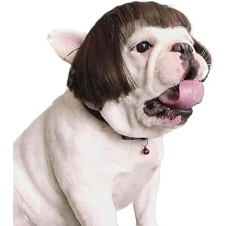 Hunde parykk blond hestehale - Hundekostyme hodeplagg for hundekatt - Realistisk og morsomt kjæledyrhår for cosplayfester - Kjæledyrantrekk for 