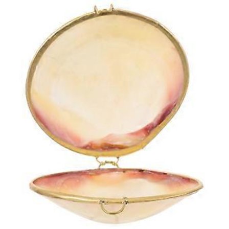 Seashell Æske Dekorative Øreringe Halskæder Armbånd Æske Smykker Trinket Æske Delikat Lille Smykkeskrin