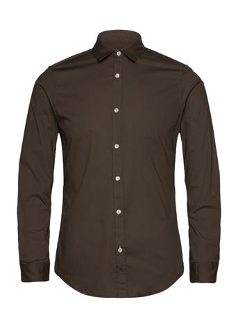 Essential Poplin Solid Brown Scotch & Soda