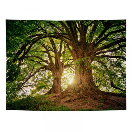 Veggtepper Veggteppe til soveromsdekorasjon Natur Skog Veggteppe Tre Veggteppe Landskap Mørkegrønt Veggteppe Dekor Plakat, 59" L x 51" B grønn