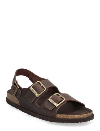Scholl | Sl Gaston Leather Dk Brown | 46