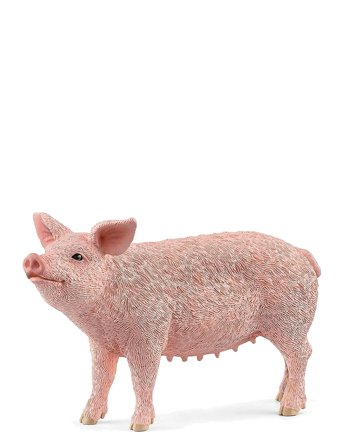 Schleich | Schleich Pig | ONE SIZE