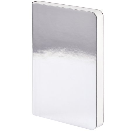 Notebook Shiny Starlet S - Silver