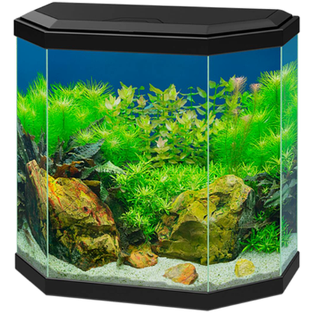 Ciano - Akvarium Aqua Black 25 L - Akvaristikk - Akvarium & møbler - Akvarium - ZOO.no