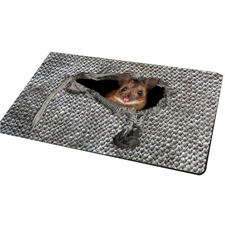 Söt Djurmatta med Katt, Mus, Fågel - Halksäker och Vattenabsorberande Dörrmatta Golvdekoration (FMY)