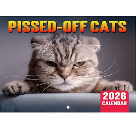 2026 Veggkalender - 28,5 cm x 21 cm Morsom Katte-veggkalender Sinne Katte Månedlig Kalender 2026 Gave til Katteelskere