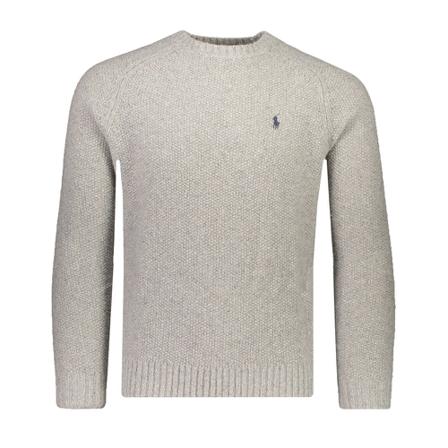 Polo Ralph Lauren, Polo Trui Grijs Grijs, Heren, Maat:M,Viscose