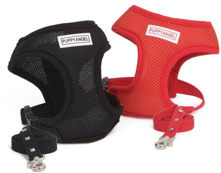 Puppy Angel - Summer Rock Red - Sele och Koppel - Large - Hundsele