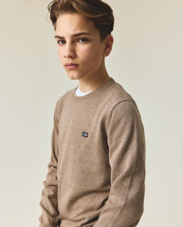 Lexington Teen crewneck sweater, brown
