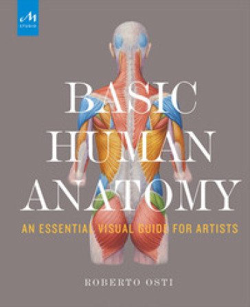 Basic human anatomy. An essential visual guide for artists Roberto Osti