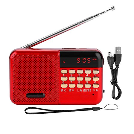 PW Cut Memory Stereo FM-radio U-skiva/TF-musik Mini USB FM-radiohögtalare med 24-timmars standby