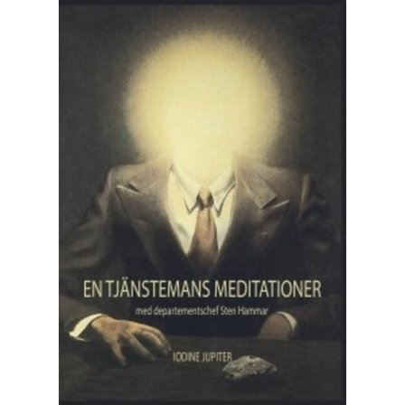 En tjänstemans meditationer 9789163981135