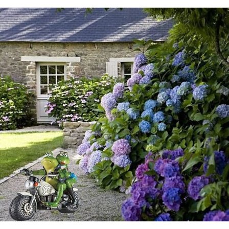 /#/Hauska sammakko puutarha patsaat ulkoilma tyhjennys suuri sisustus, sammakko/#/