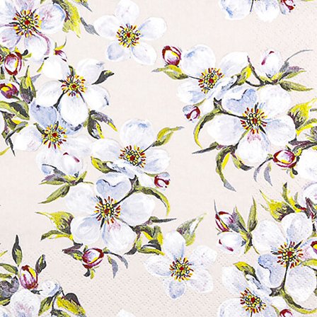 Serviett 33x33cm Spring Bloom