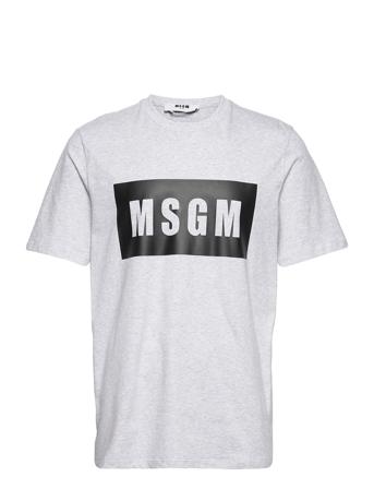 T-Shirt/T-Shirt T-shirt Grå MSGM