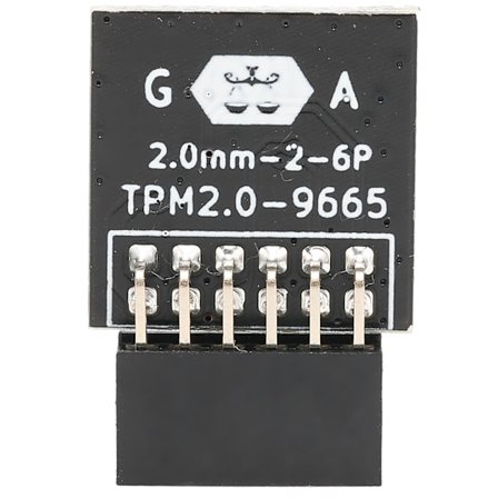 LPC 12PIN TPM 2.0 Krypteringssikkerhedsmodul Høj Sikkerhed Praktisk Krypteringssikkerhedsmodul til Computer til GIGABYTE