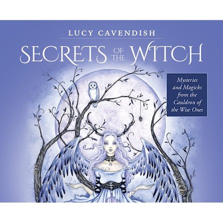 Secrets of the Witch : mini oracle cards 9781925538953