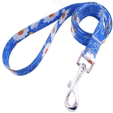 Hundvalpledning Husdjursledning 1 1