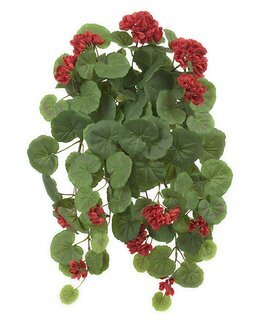 Konstväxt Hängpelargon Röd - Mr Plant