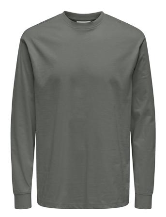 Onsfred Life Ls Tee Noos Tops T-shirts Long-sleeved Grey ONLY & SONS