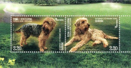 Bosnien-Herzegovina - Hunde - Postfrisk miniark