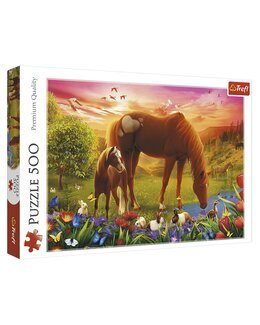 Puslespill Hester på engen 500 brikker - Trefl