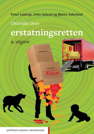 Oversikt over erstatningsretten - Bok av Bjarte Askeland, Peter Lødrup, m.fl. - Paperback