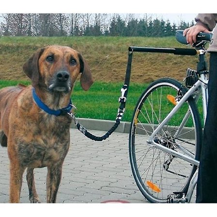(tm Handsfree Hundkoppel för Cykel