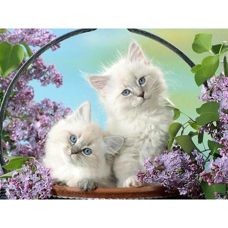 Dww-[30x40cm] 5D Diamantmaleri Helt Hvid Killing, DIY Diamantbroderi Maleri Kit Blomster, Diamantkunst Lærred DIY Håndværk Dekorati