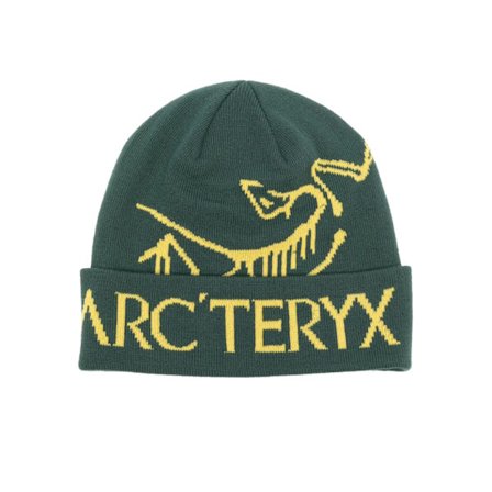 Arc'teryx Bird Word Toque Grønn Void Ull Lue Unisex Varm Vinter