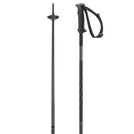 Salomon - Alpinstavar Stavar Polar - Black