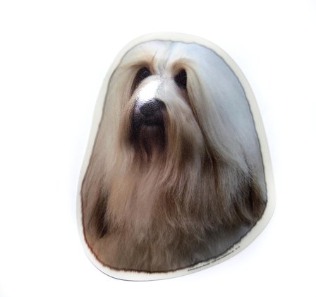 Bichon Havanaise - klistremerker