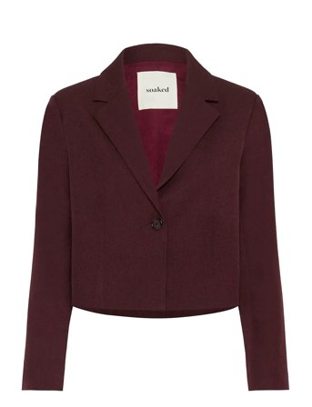Soaked in Luxury | Sllilu Corinne Cropped Blazer | L
