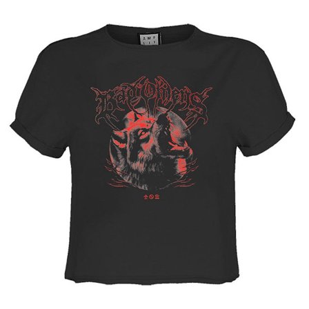 Amplified Dam/Dam Wolf Bad Omens Cropped T-shirt XL Kolgrå