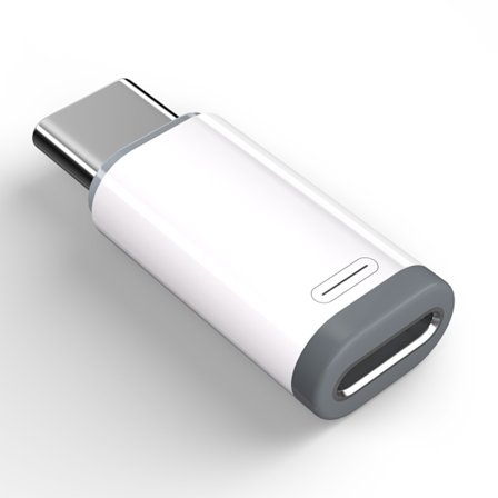 Lightning (hun) til USB-C (hann) adapter