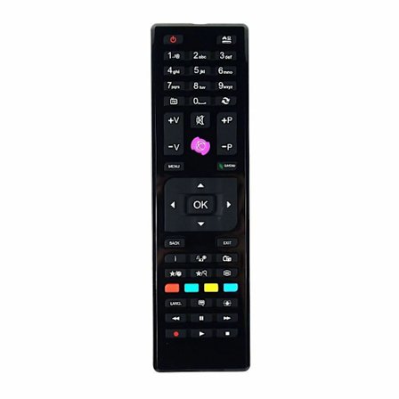 TV fjernbetjening til JVCRC4875 /RC-4875 - Perfekt