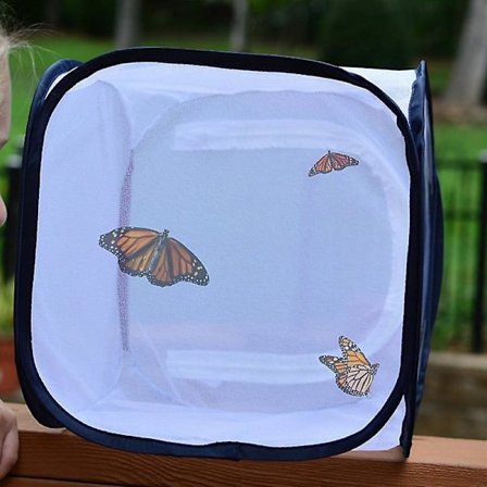 30*30*30cm Hyönteis- ja Perhoshäkki, Läpinäkyvä Taitettava Verkkohäkki Terrarium Hyönteisille