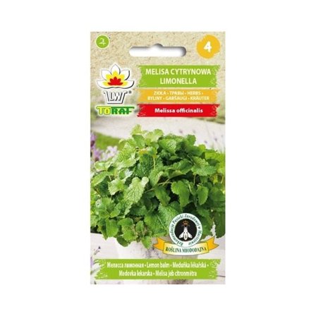 Citronmelissefrø - flerårig urt med stærk citronduft
