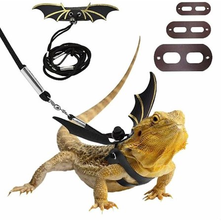3-i-1 justerbart skinn Bearded Vulture reptilsele med kule vinger for utendørs små kjæledyr for trygg gange