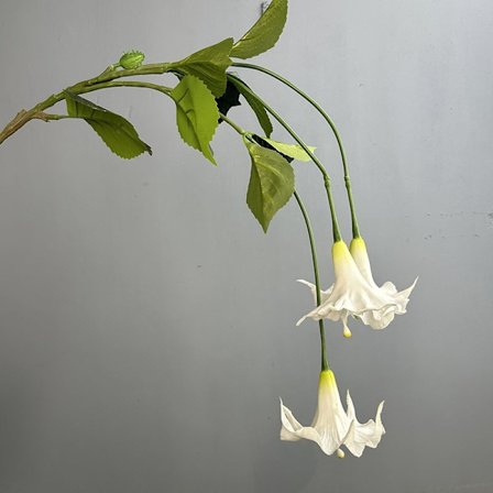 För Ecovacs Deebot N8 /N8+ /N8 Pro+ /N8 Pro+ Plus Reservdel Huvudborste Sidoborste Hepa Filter Moppduk